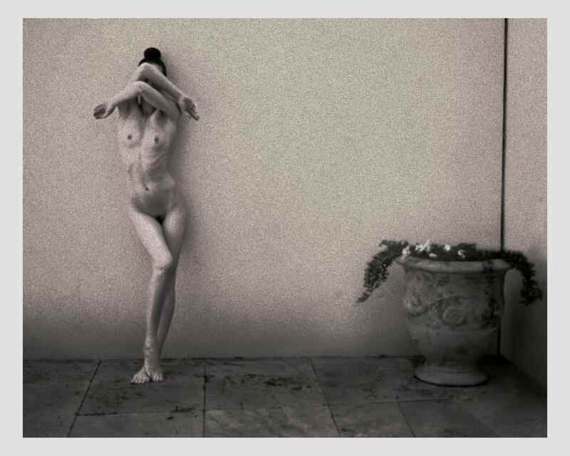 013 — Denisa