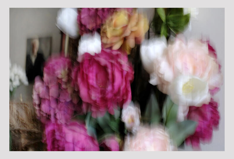 025 — Peonies