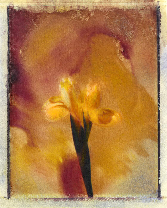 170 — Bloom