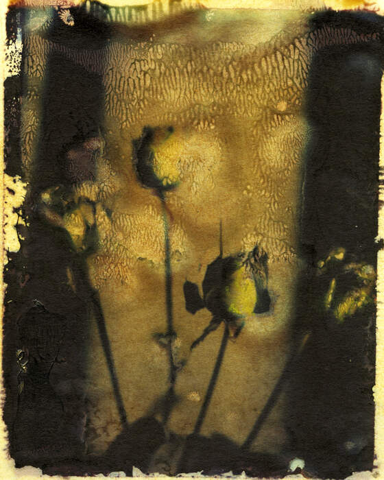 174 — Roses
